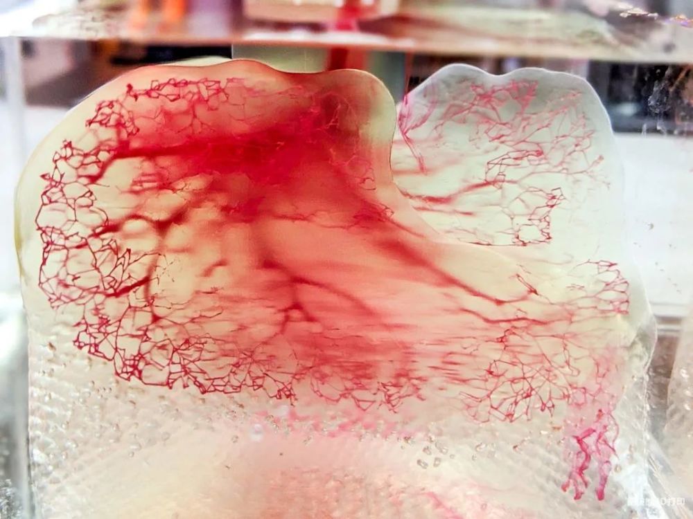 3D Systems计划加大对再生医学和生物3D打印方面的投入